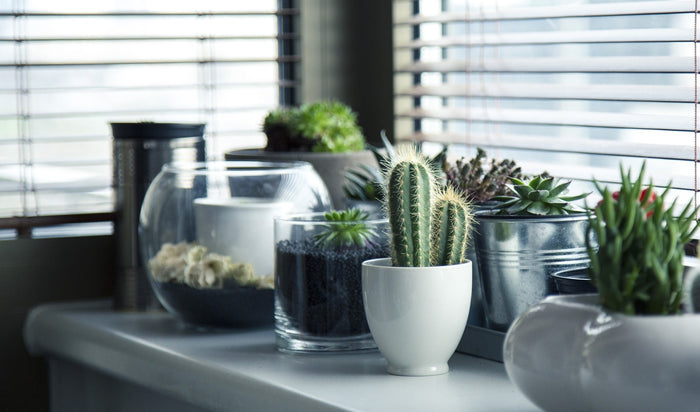 How to Choose the Right Style for Your Home